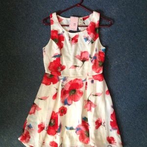 Pink Owl Modcloth Spring Floral Dress NWT M